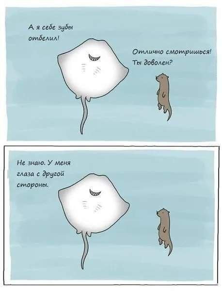 Лучшие шутки и мемы из Сети - 02.09.2025