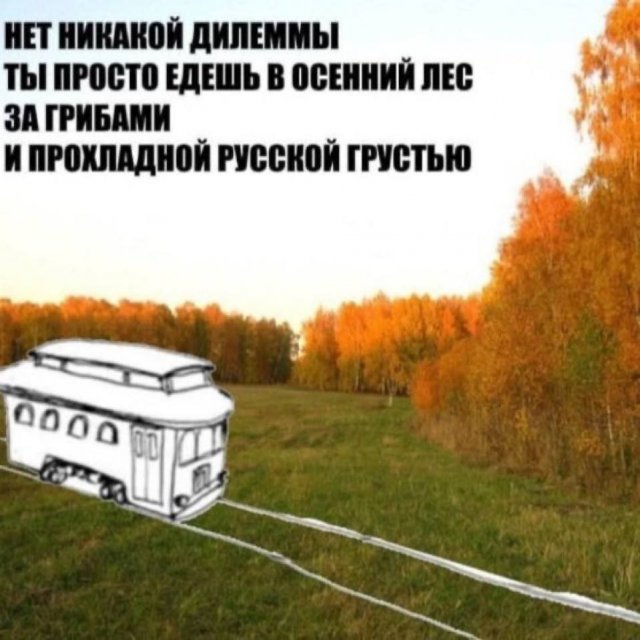 Лучшие шутки и мемы из Сети - 02.09.2025