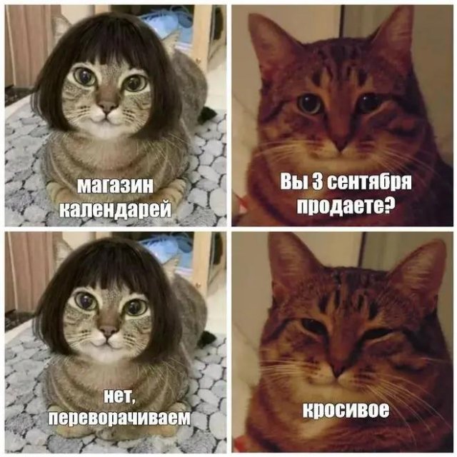 Самая полная подборка мемов про 3 сентября: мы собрали ее в честь Михаила Шуфутинфского