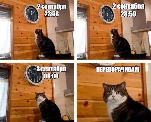 Самая полная подборка мемов про 3 сентября: мы собрали ее в честь Михаила Шуфутинфского