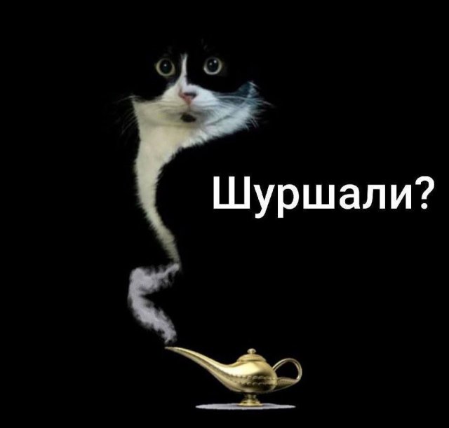 Смешные мемы - 03.09.2025