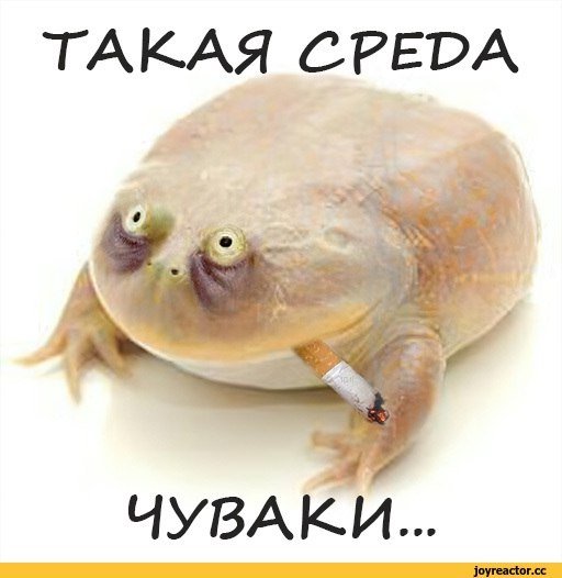 Смешные мемы - 03.09.2025