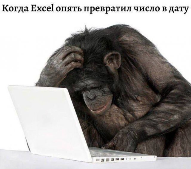 Смешные мемы - 03.09.2025