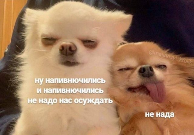 Смешные картинки - 03.09.2025