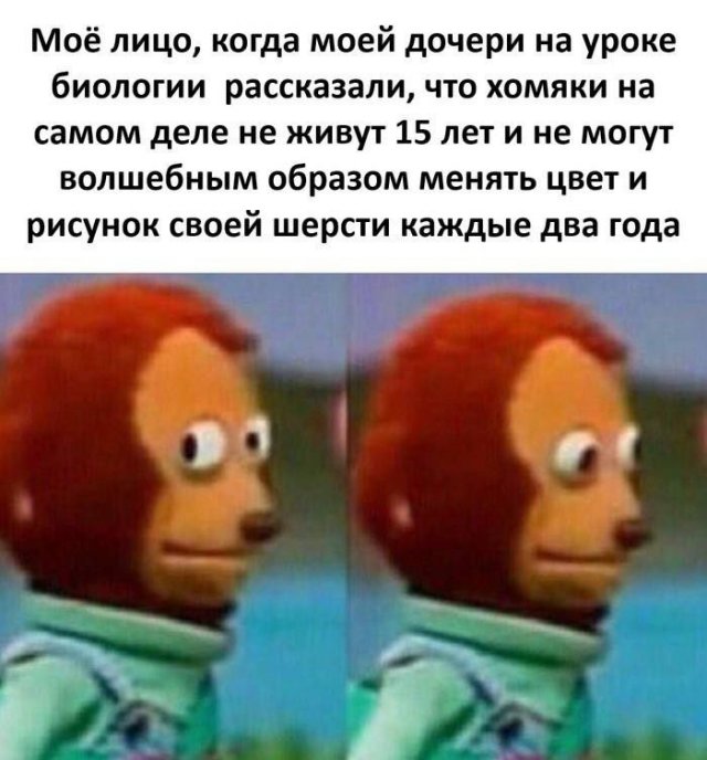 Смешные картинки - 03.09.2025