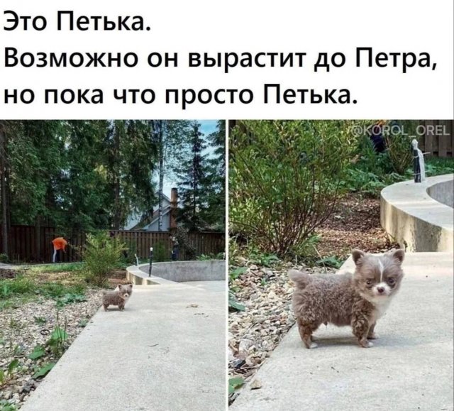 Лучшие шутки и мемы из Сети - 03.09.2025