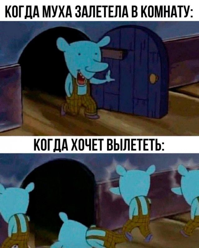 Лучшие шутки и мемы из Сети - 03.09.2025
