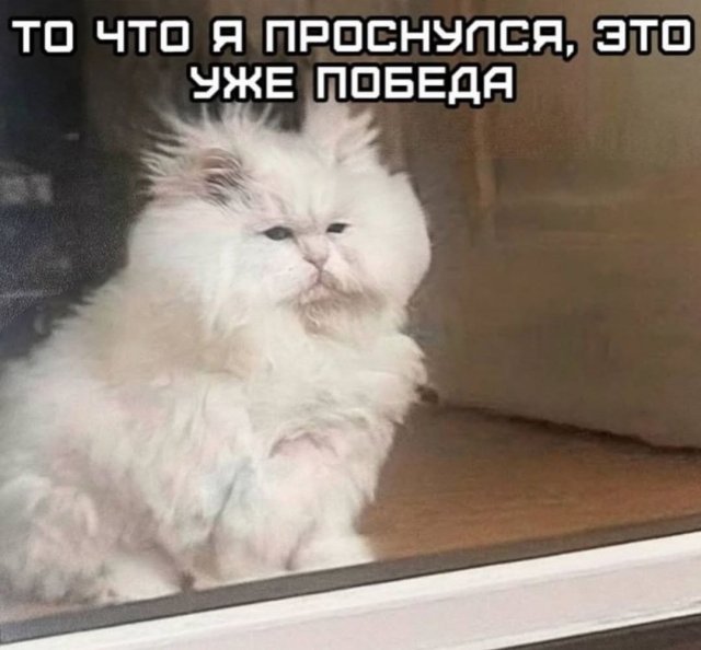 Лучшие шутки и мемы из Сети - 03.09.2025