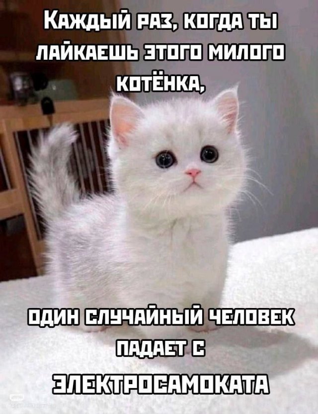 Лучшие шутки и мемы из Сети - 03.09.2025