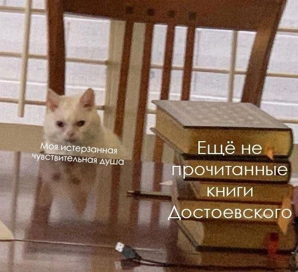 Лучшие шутки и мемы из Сети - 04.09.2025