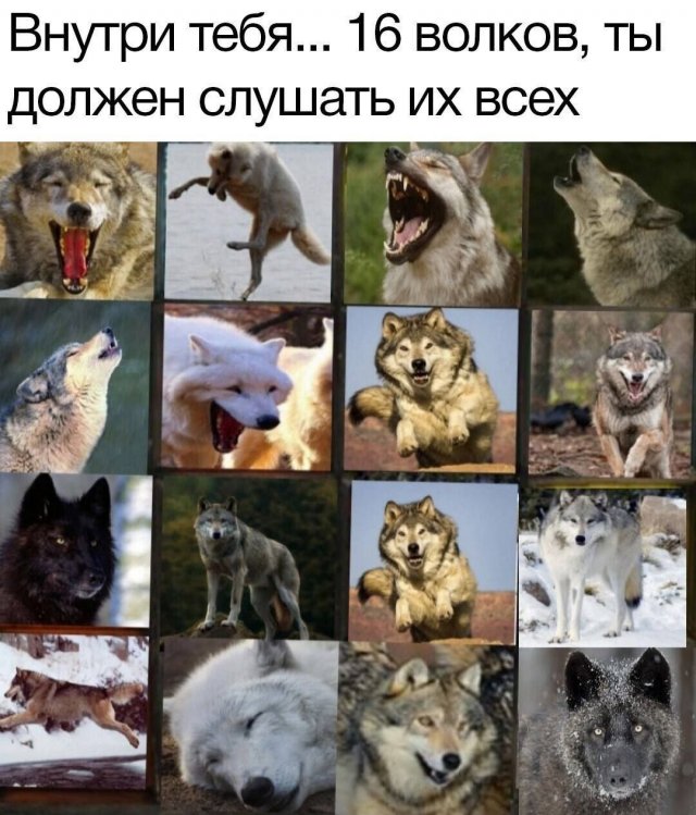 Лучшие шутки и мемы из Сети - 04.09.2025
