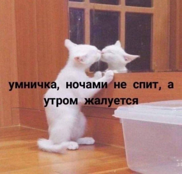 Смешные мемы - 04.09.2025