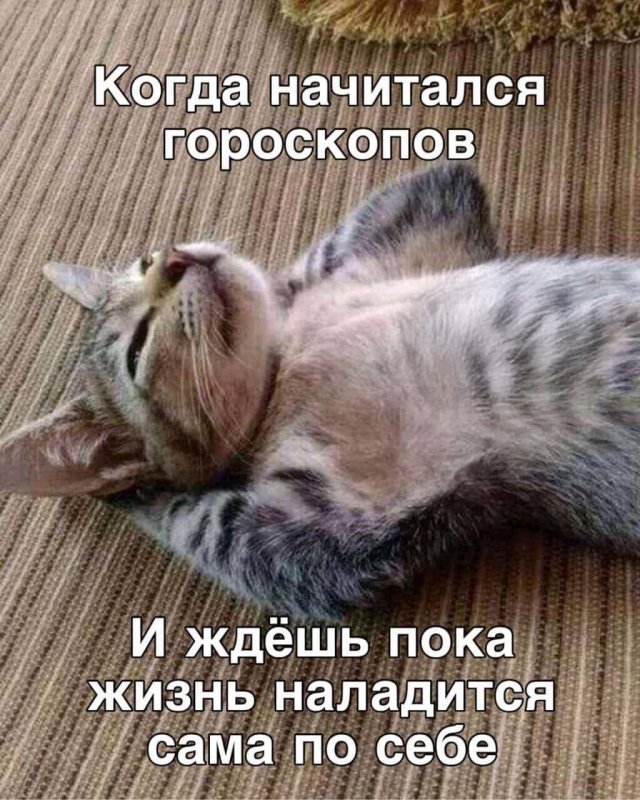 Смешные мемы - 04.09.2025