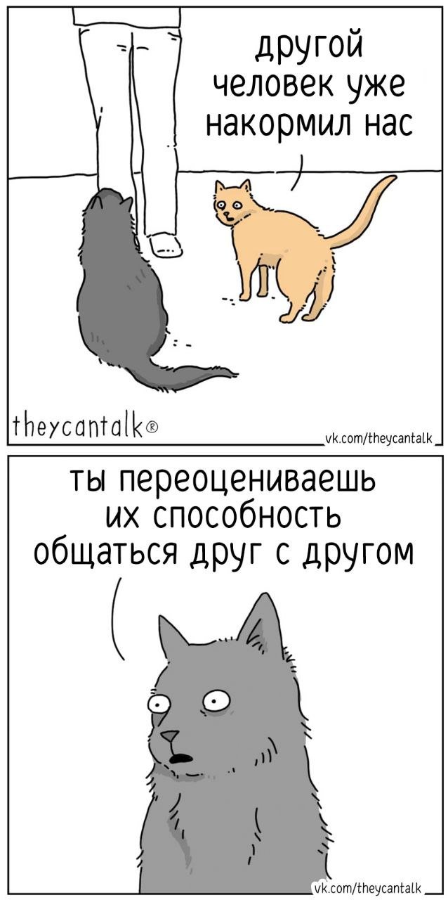 Смешные мемы - 04.09.2025