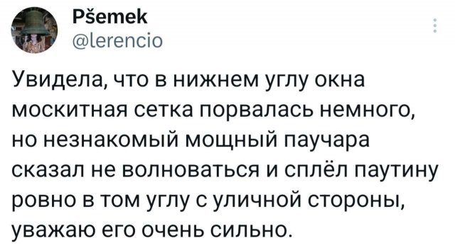Подборка забавных твитов обо всем
