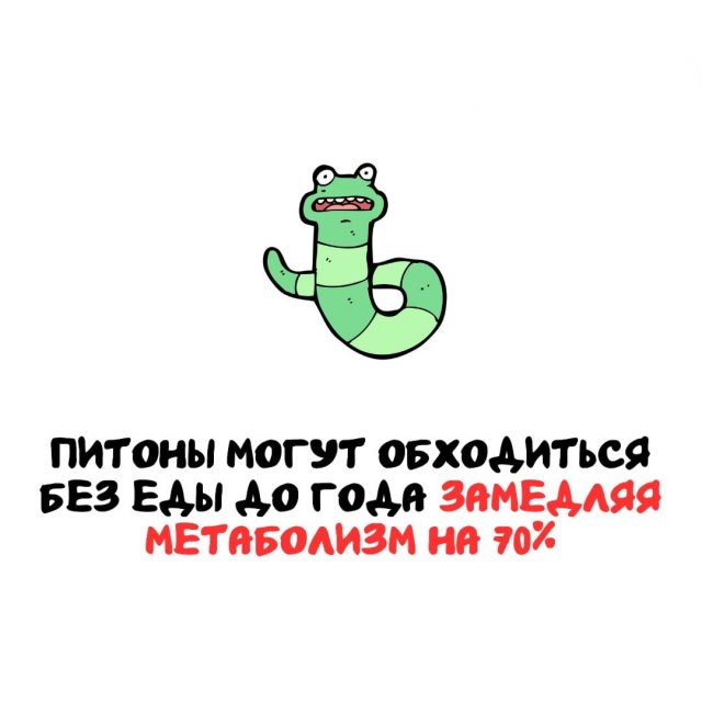 Интересные факты на все случаи жизни