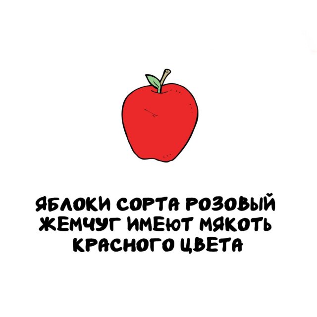 Интересные факты на все случаи жизни