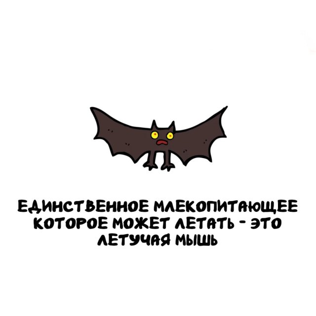 Интересные факты на все случаи жизни