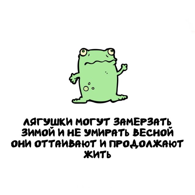 Интересные факты на все случаи жизни
