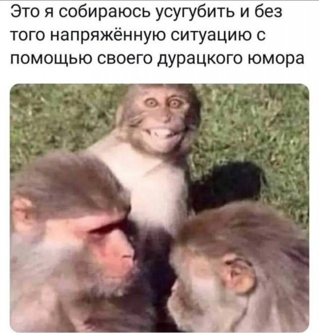 Лучшие шутки и мемы из Сети - 05.09.2025