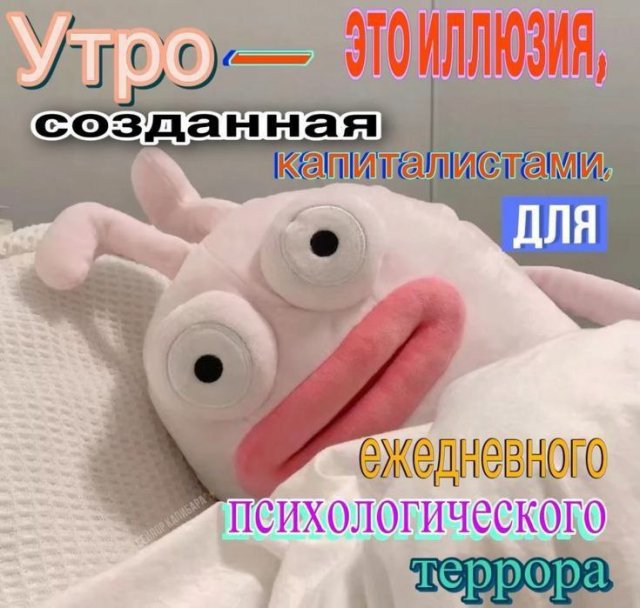 Лучшие шутки и мемы из Сети - 05.09.2025