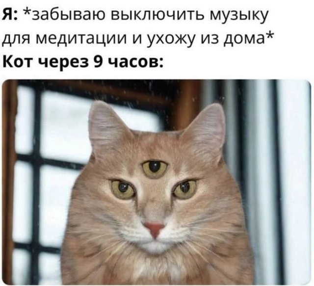 Лучшие шутки и мемы из Сети - 05.09.2025