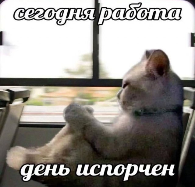 Лучшие шутки и мемы из Сети - 05.09.2025