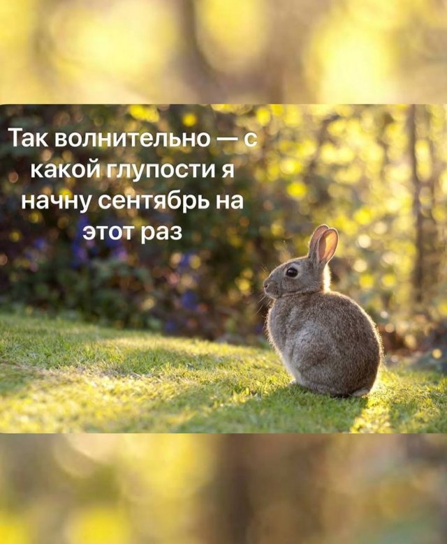 Смешные мемы - 08.09.2025
