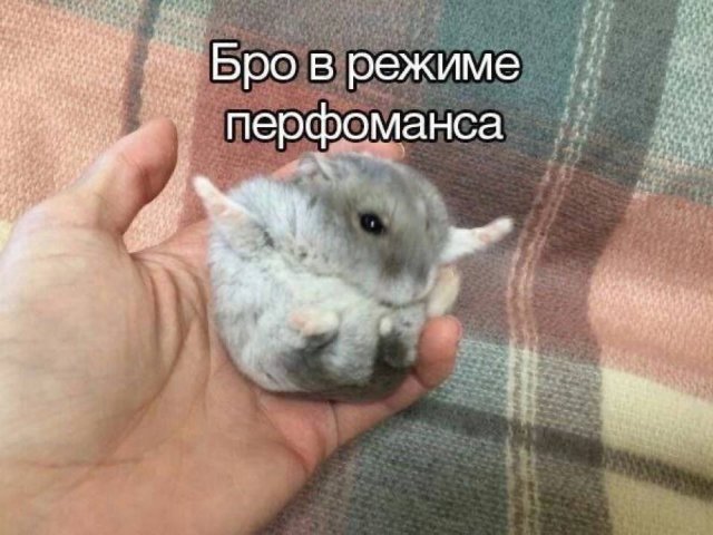 Смешные мемы - 08.09.2025