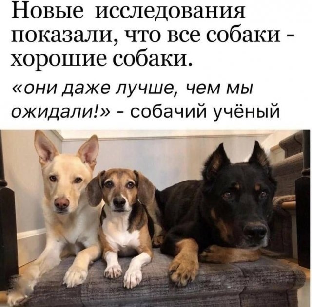 Смешные мемы - 08.09.2025