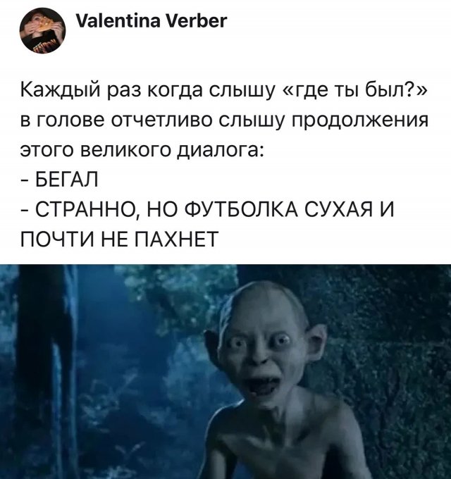 Подборка картинок. Вечерний выпуск - 08.09.2025