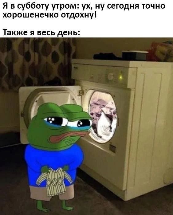 Подборка картинок. Вечерний выпуск - 08.09.2025