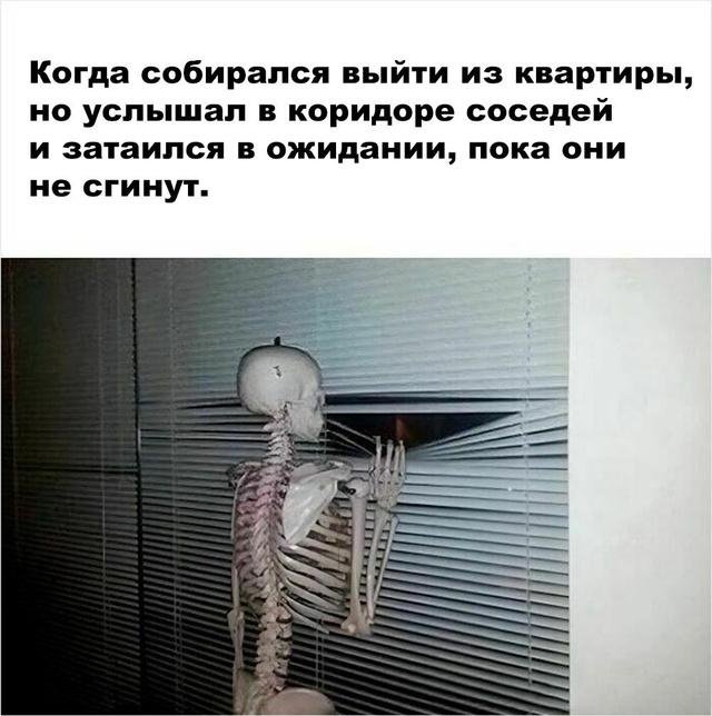 Смешные мемы об ежедневных трудностях жизни
