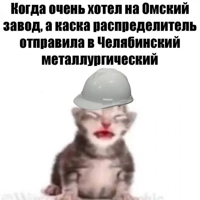 Лучшие шутки и картинки из Сети - 08.09.2025