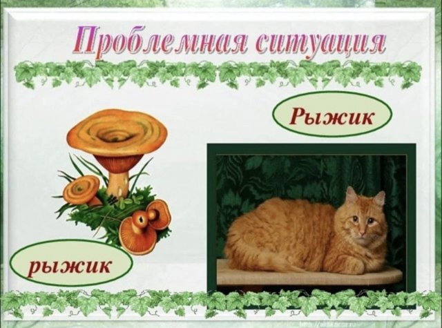 Лучшие шутки и картинки из Сети - 08.09.2025