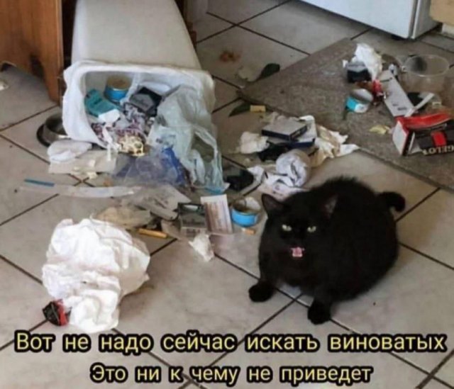 Лучшие шутки и картинки из Сети - 08.09.2025