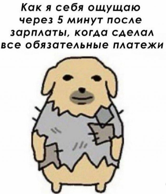 Лучшие шутки и картинки из Сети - 08.09.2025