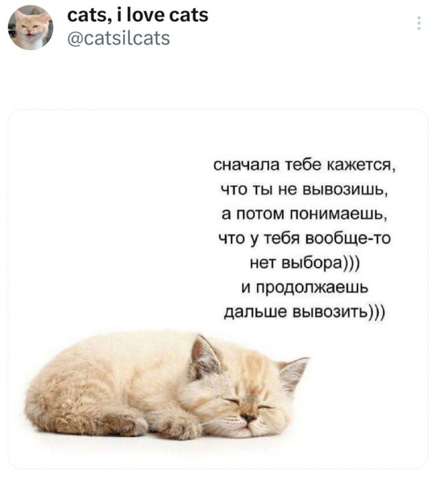 Подборка забавных твитов обо всем