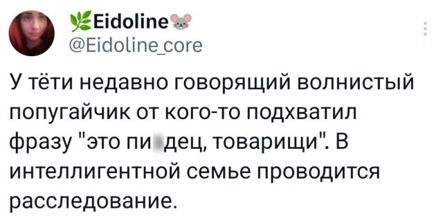 Подборка забавных твитов обо всем