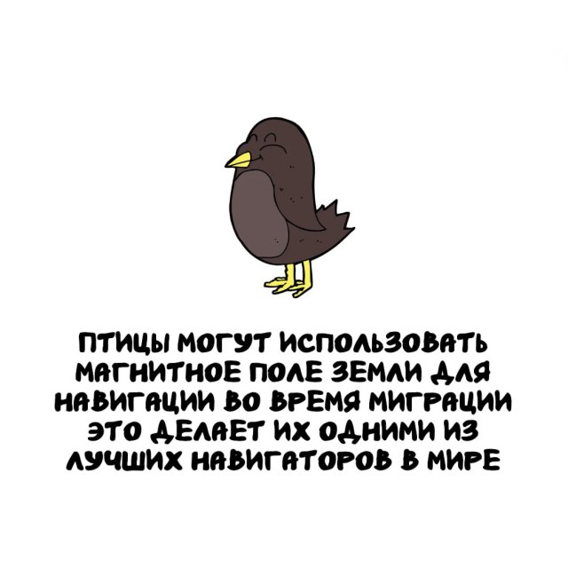 Интересные факты на все случаи жизни