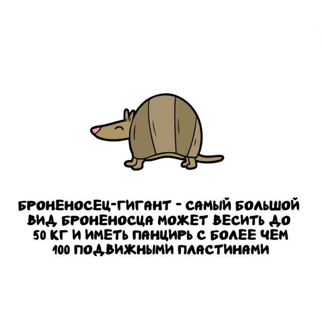 Интересные факты на все случаи жизни