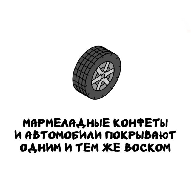 Интересные факты на все случаи жизни
