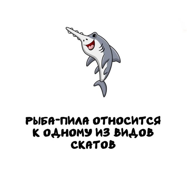 Интересные факты на все случаи жизни