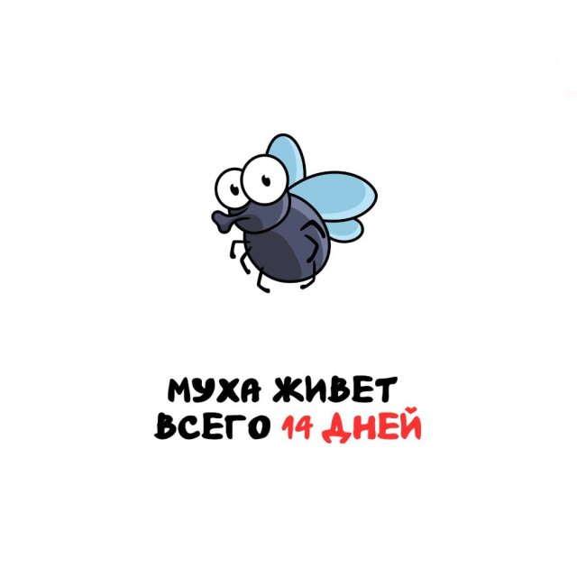 Интересные факты на все случаи жизни