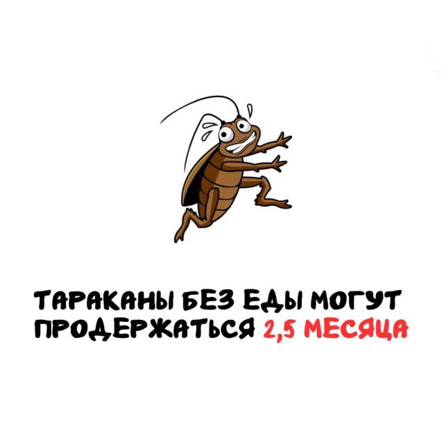 Интересные факты на все случаи жизни
