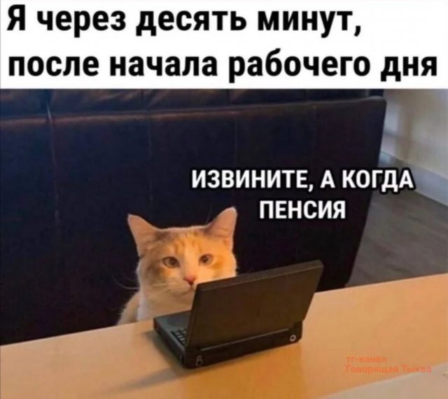 Лучшие шутки и мемы из Сети - 09.09.2025