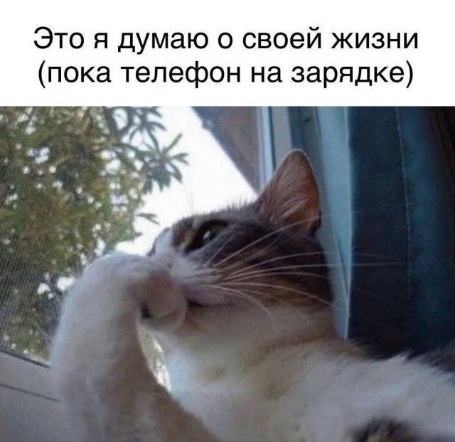 Лучшие шутки и мемы из Сети - 09.09.2025
