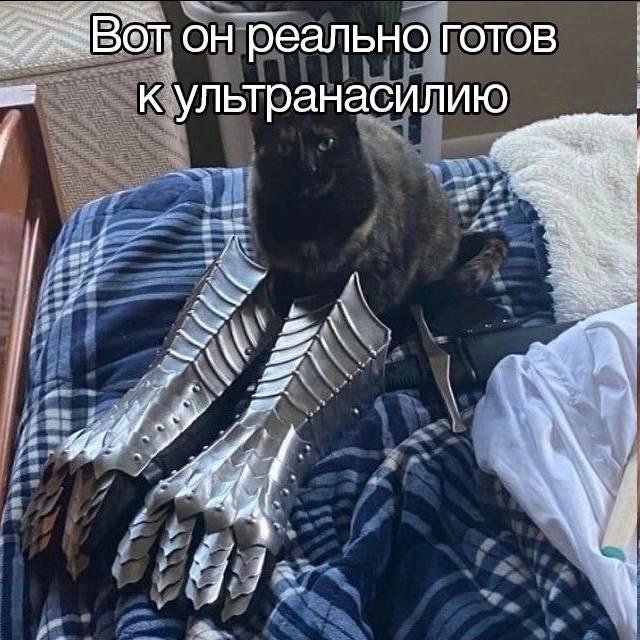 Лучшие шутки и мемы из Сети - 09.09.2025