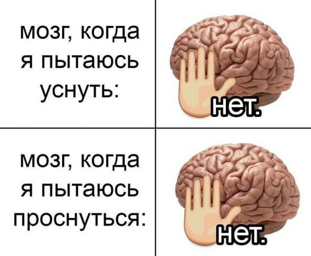 Лучшие шутки и мемы из Сети - 09.09.2025
