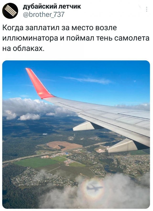 Подборка забавных твитов обо всем